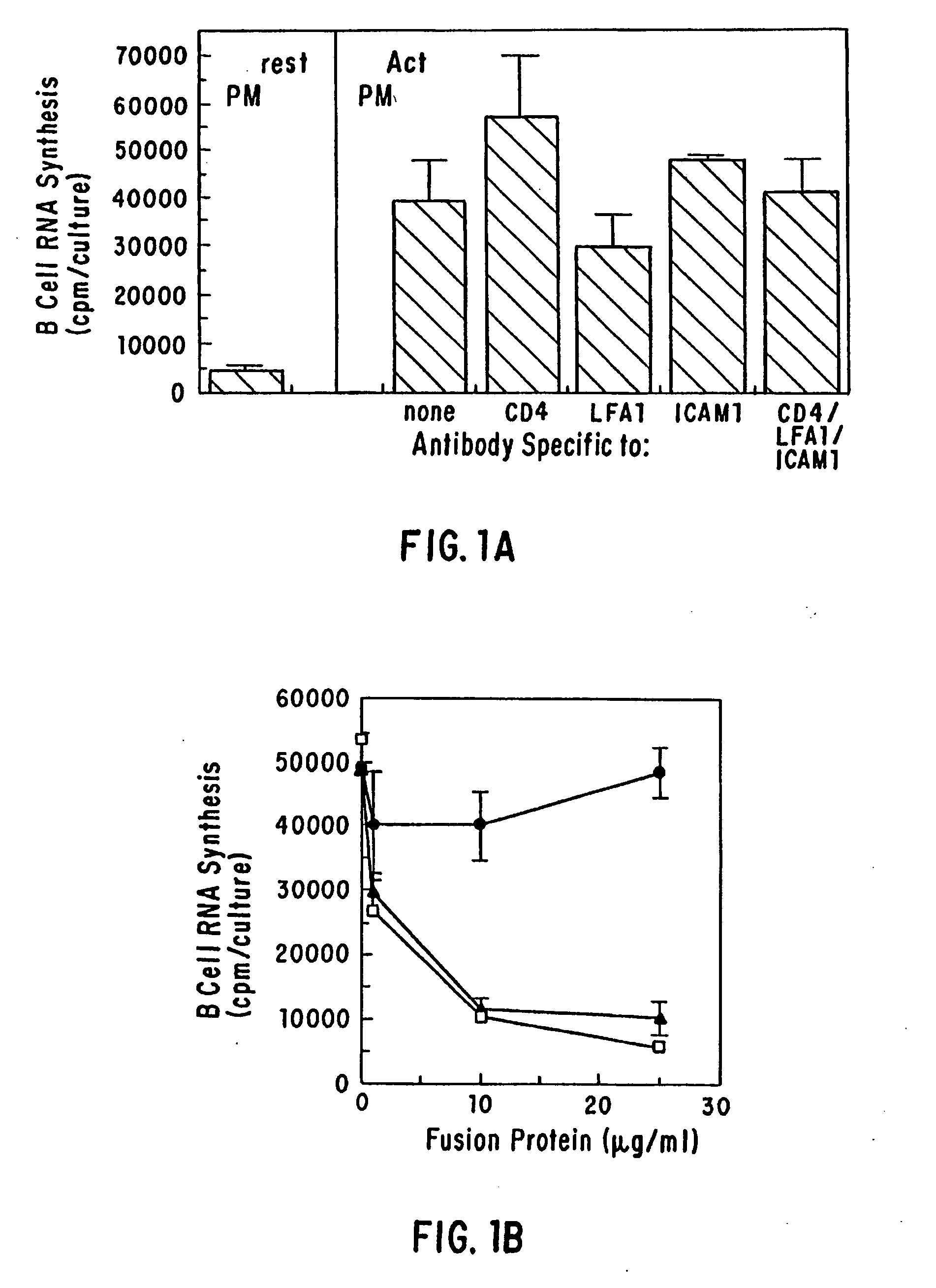 Monoclonal antibody MR1 and uses thereof