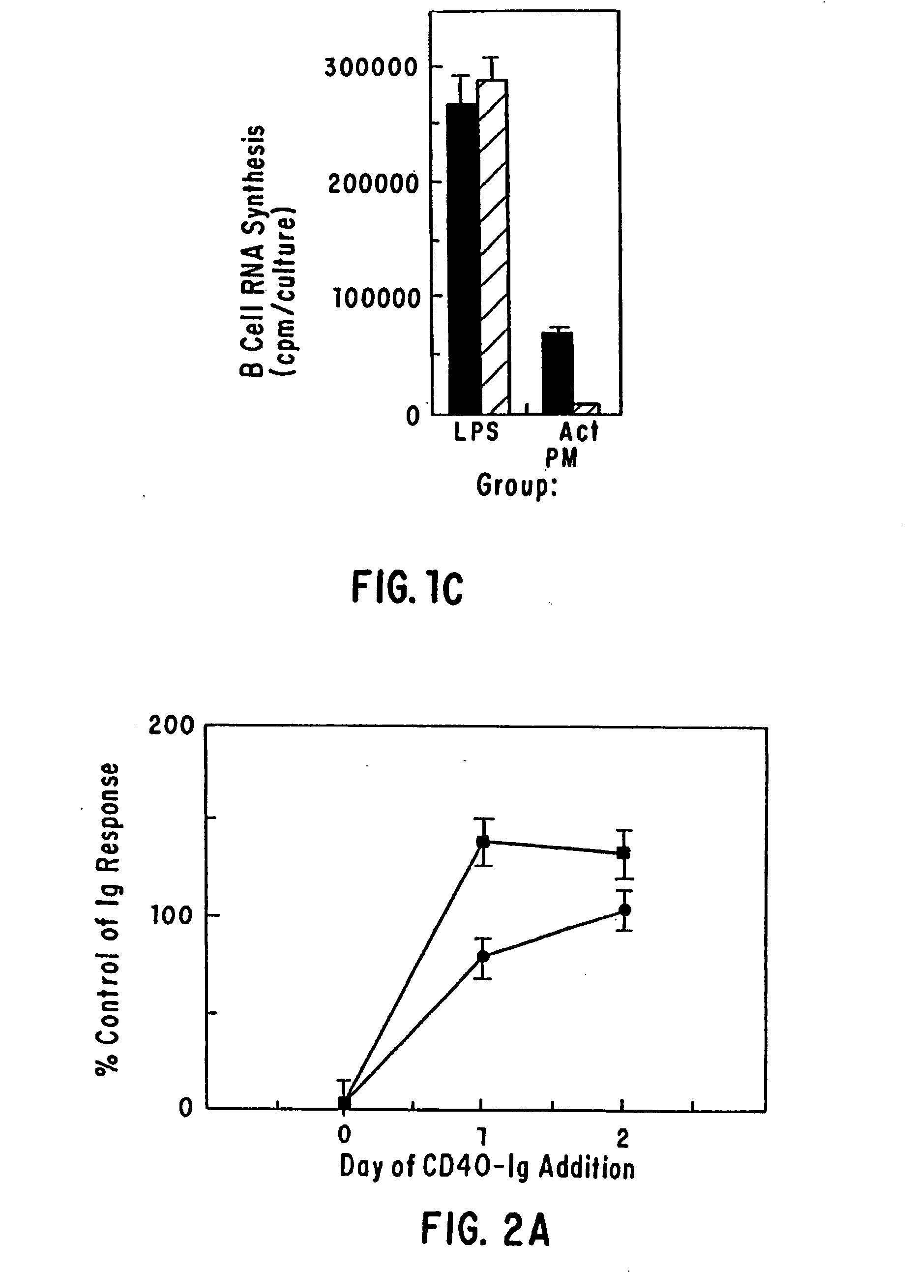 Monoclonal antibody MR1 and uses thereof