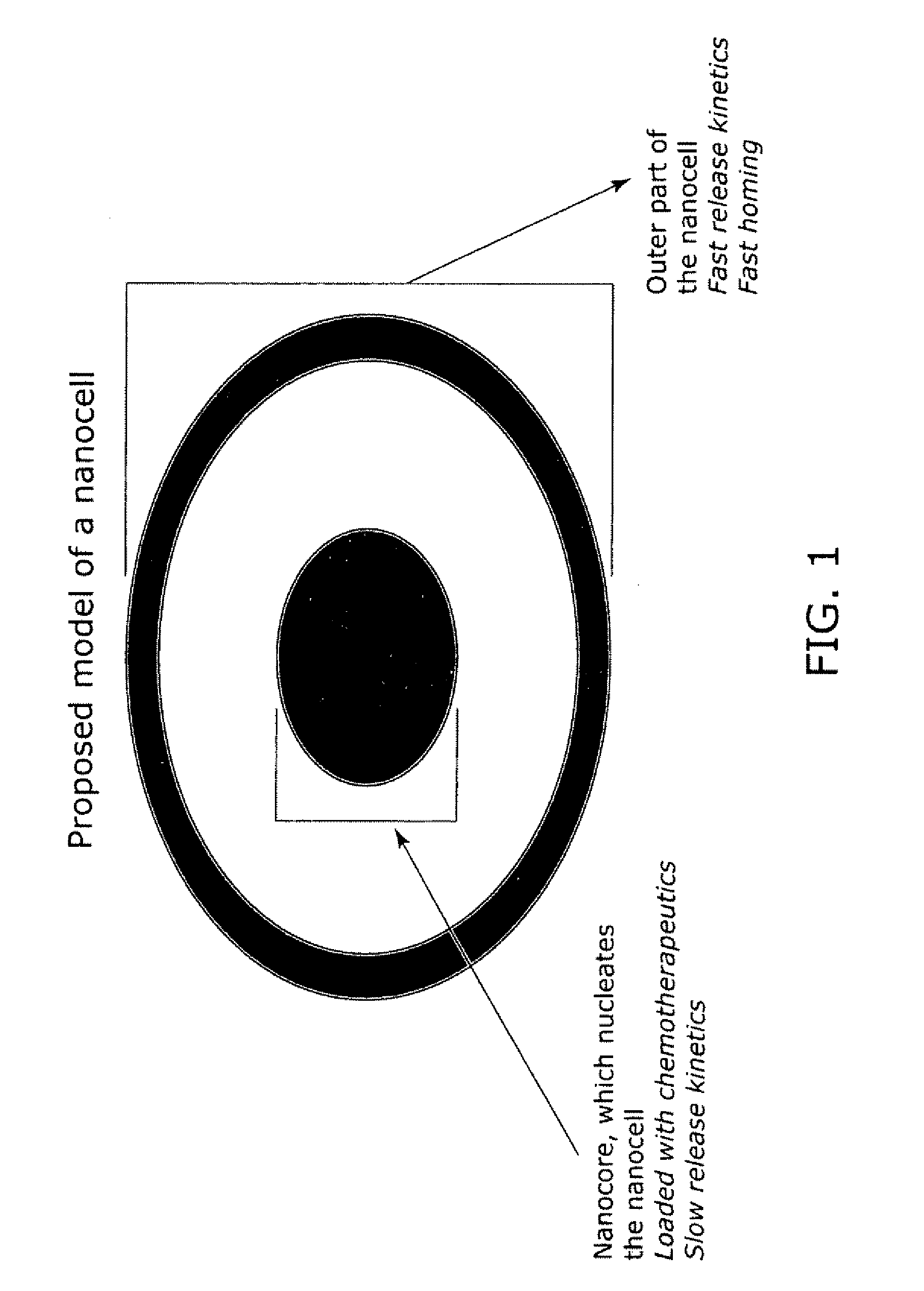 Nanocell drug delivery system