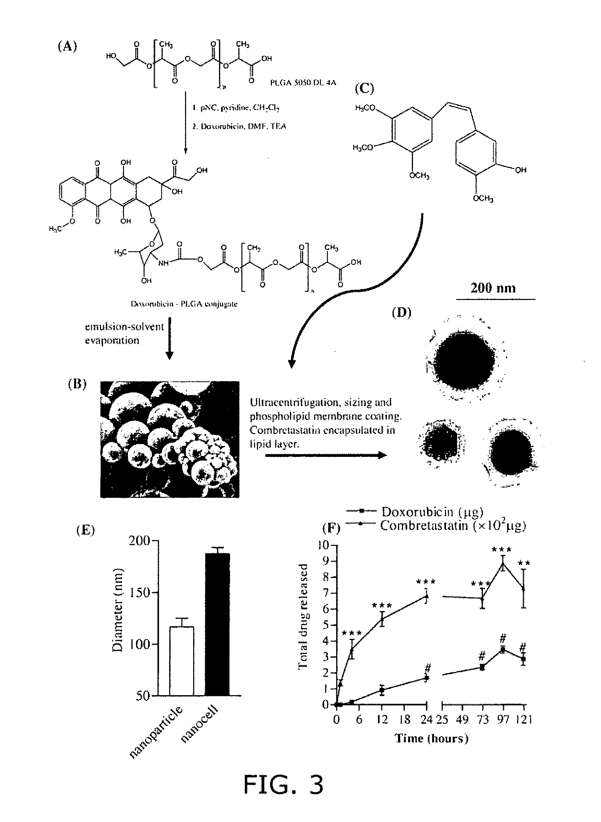 Nanocell drug delivery system