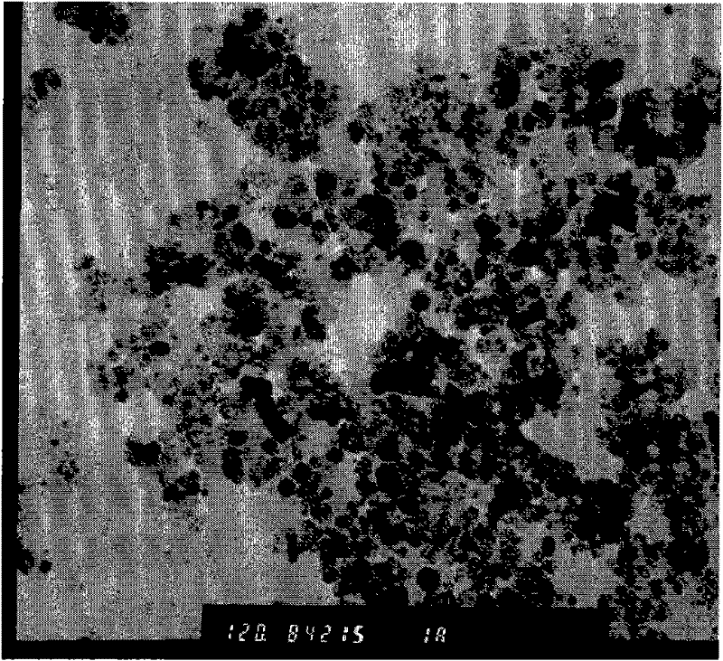 Method for preparing composite nano microsphere for enriching lung cancer cells