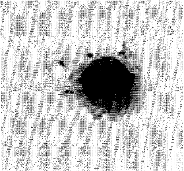 Method for preparing composite nano microsphere for enriching lung cancer cells