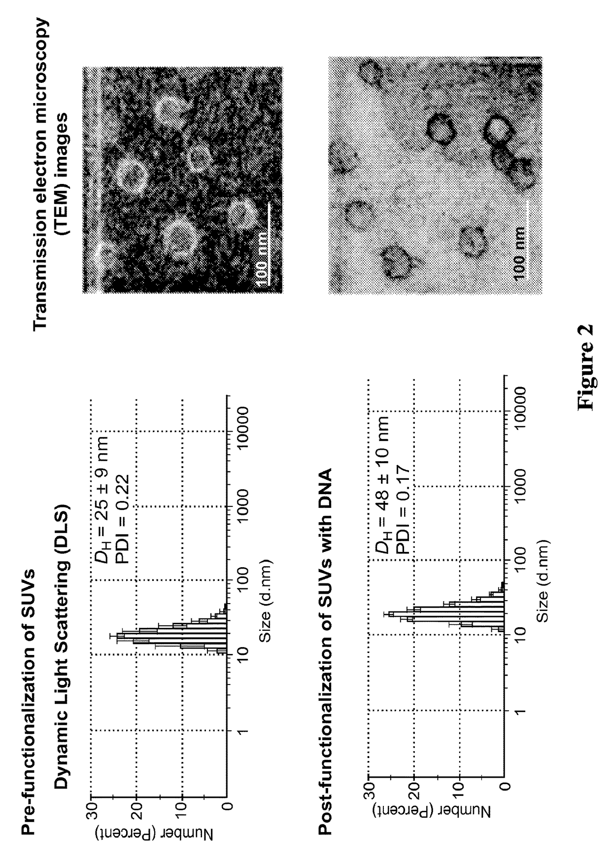 Liposomal particles, methods of making same and uses thereof