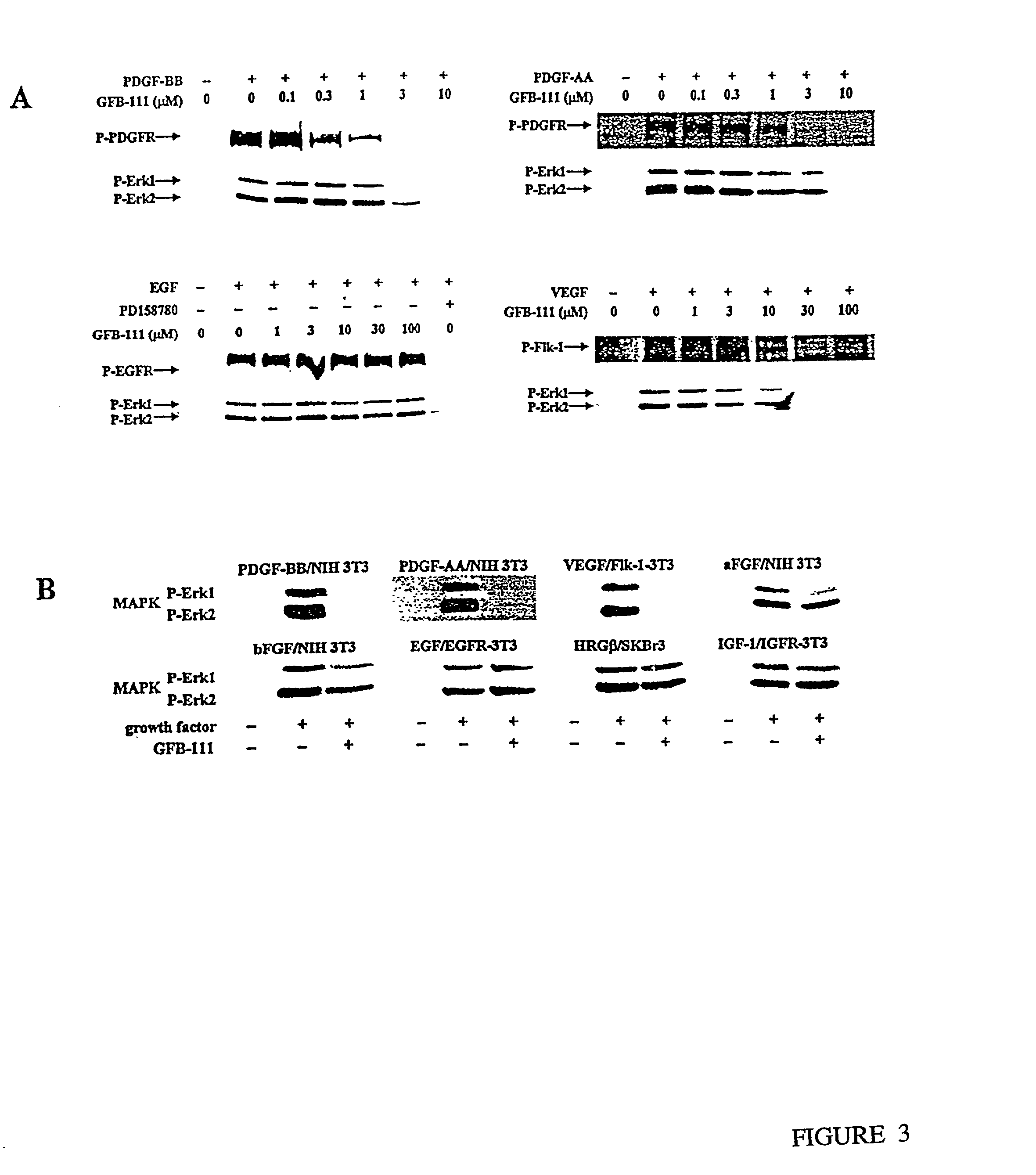 Growth factor binding molecules