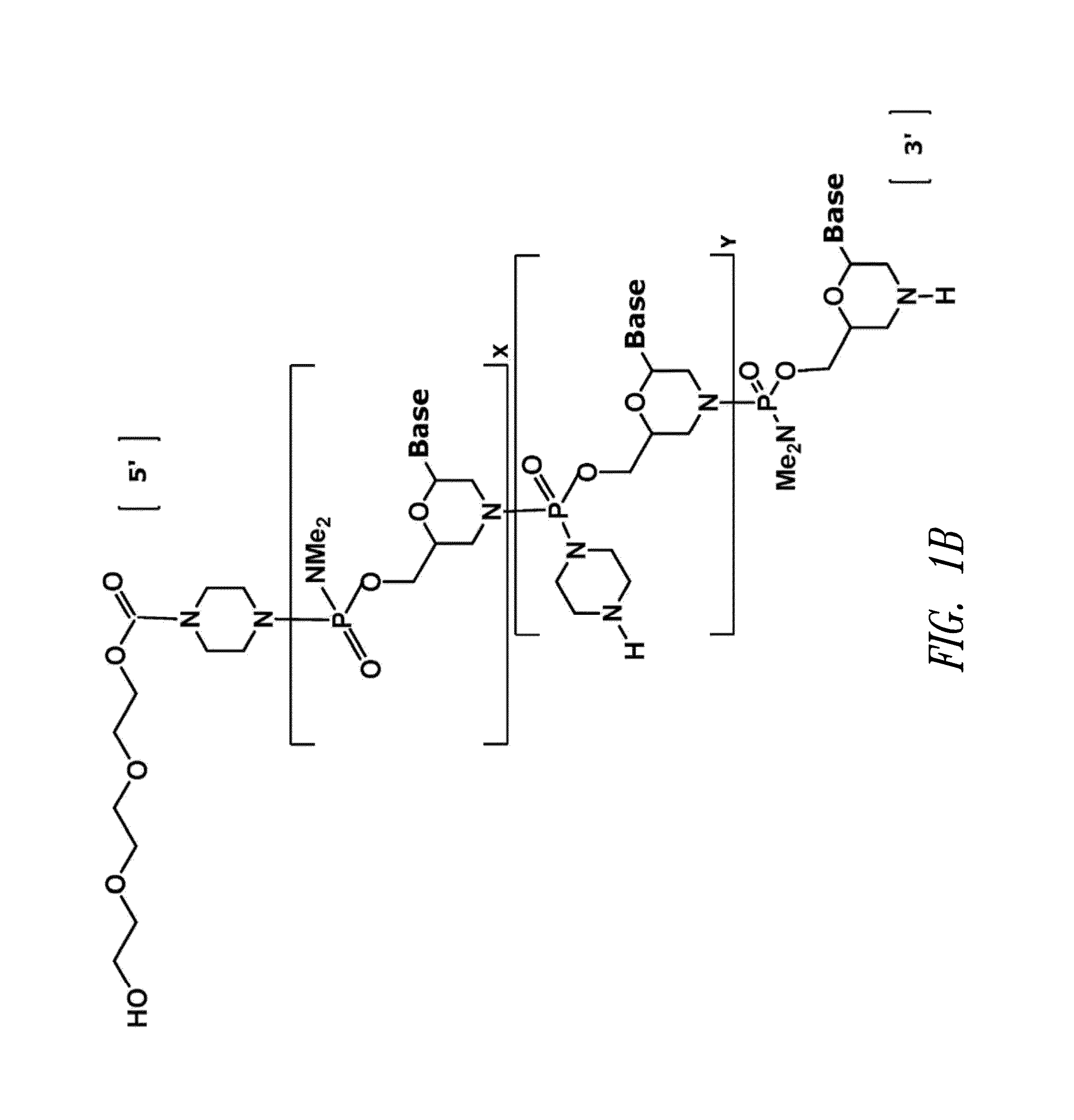 Antisense antiviral compound and method for treating influenza viral infection