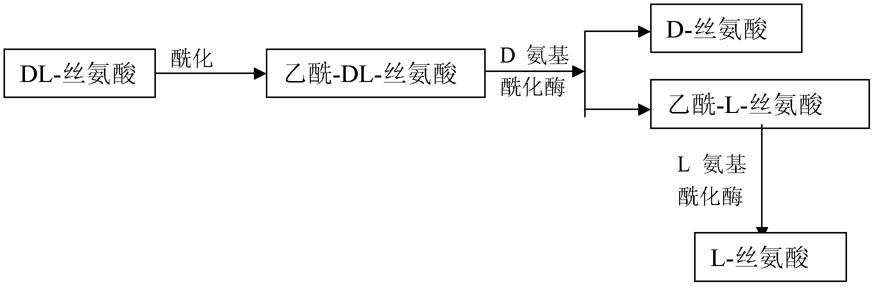 Method for preparing D-serine and L-serine with DL-serine as raw material