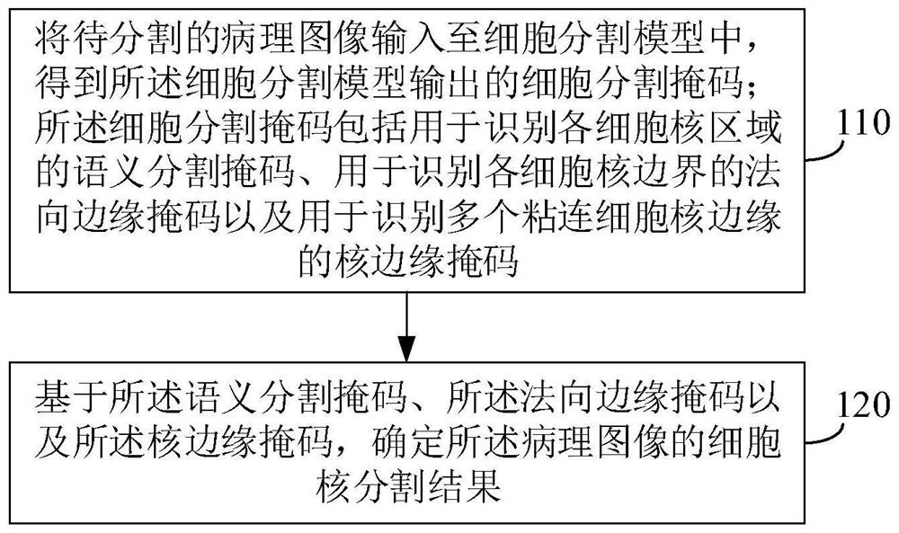 Cell nucleus segmentation method and device for pathological image