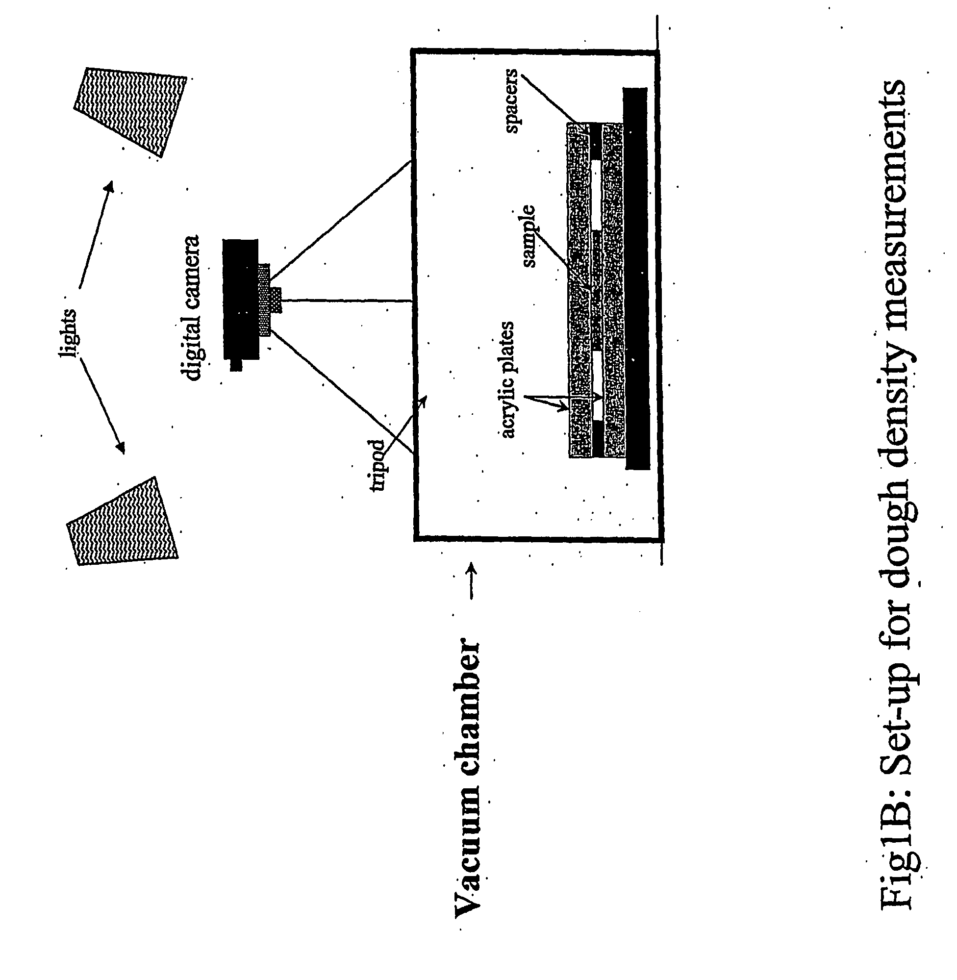 Ultrasonic evaluation of the strength of flour doughs