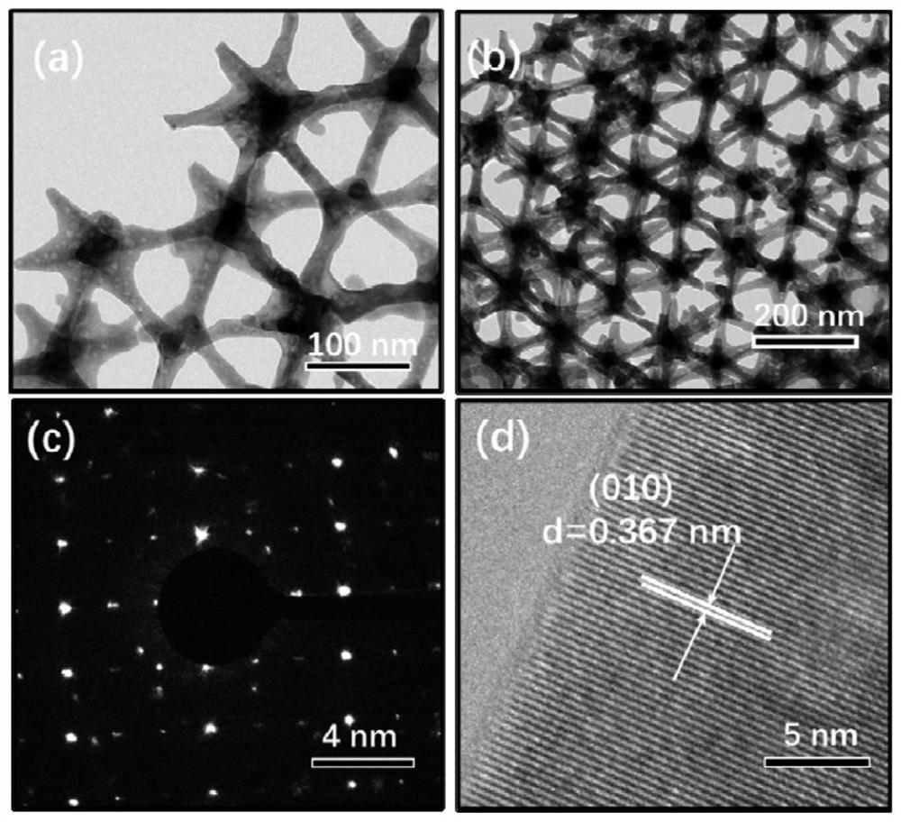 General synthesis method of tantalum pentoxide photocatalytic material with three-dimensional ordered network structure