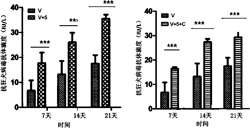 Application of 3'-deoxyadenosine to preparation of immunologic adjuvant for synergizing broad-spectrum vaccine