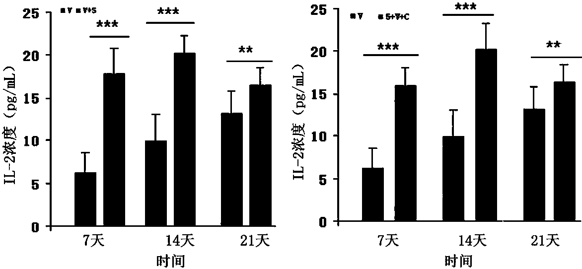 Application of 3'-deoxyadenosine to preparation of immunologic adjuvant for synergizing broad-spectrum vaccine