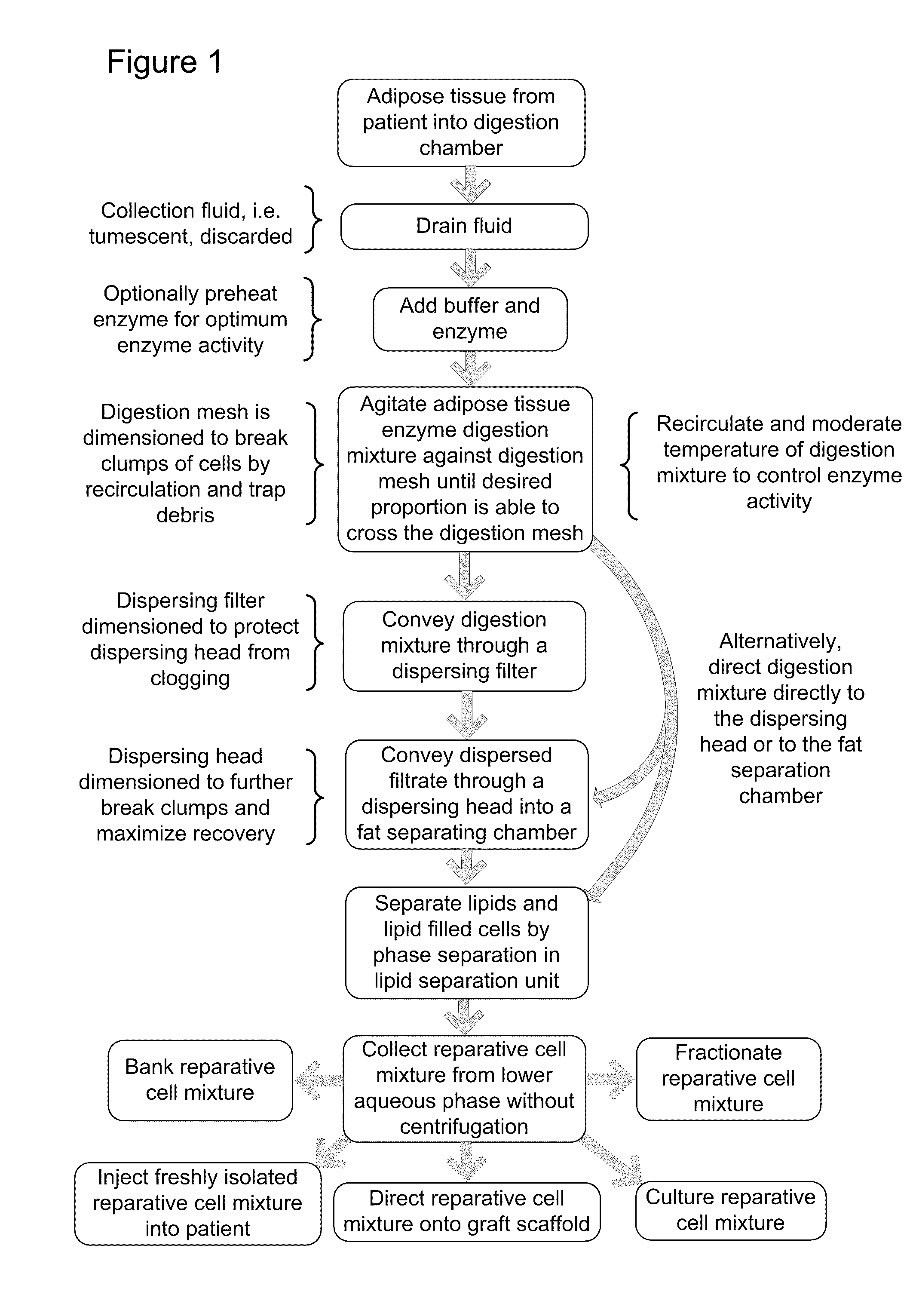 Biomatrix Composition and Methods of Biomatrix Seeding