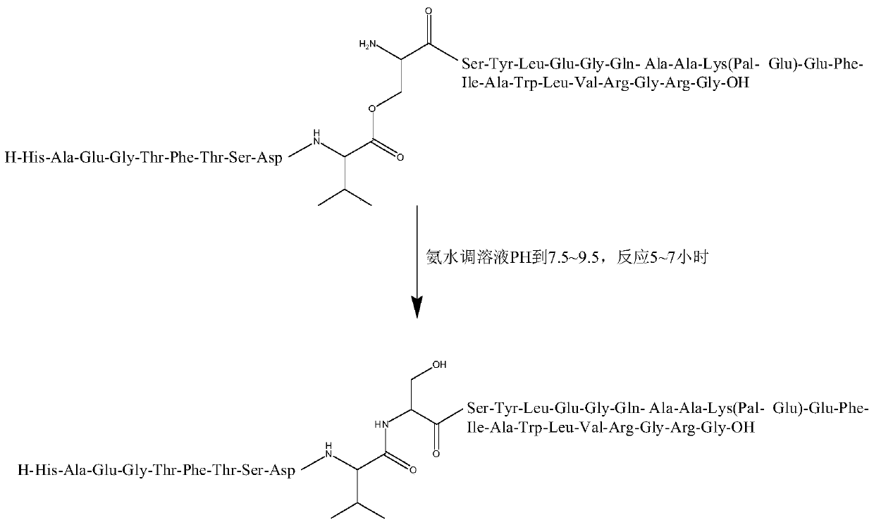 A kind of synthetic method of liraglutide