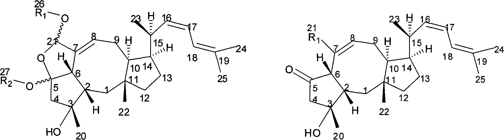 Ophiobolin di-sesquiterpene compound and preparation method and application thereof