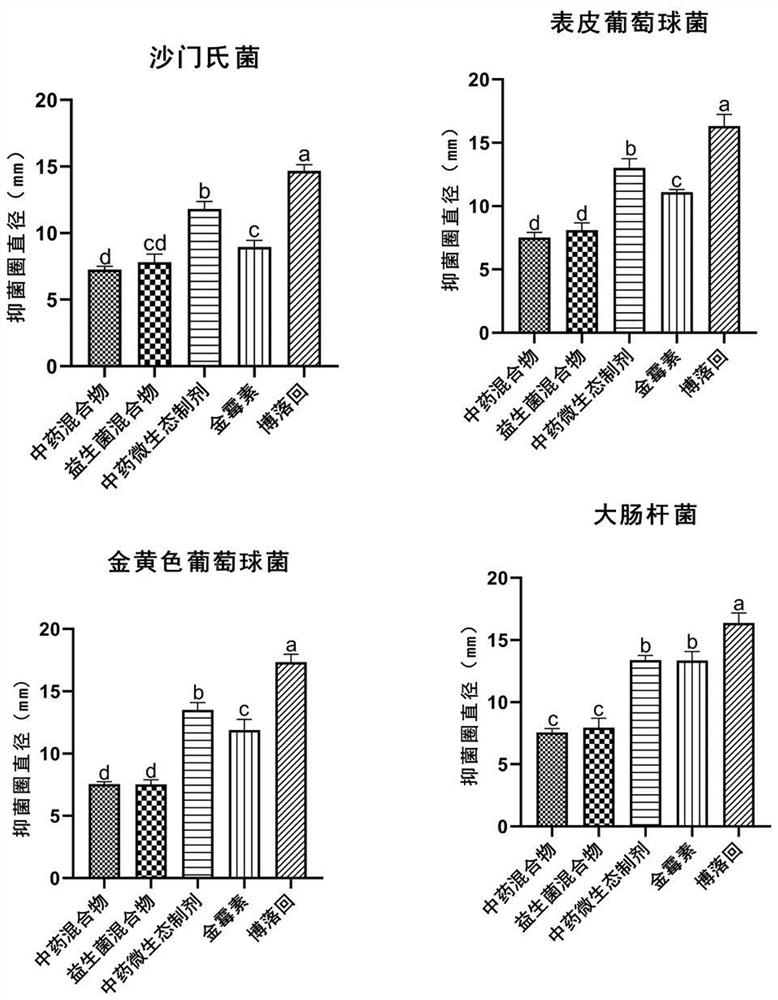 Traditional Chinese medicine microecological preparation for improving growth performance of ducks and application of traditional Chinese medicine microecological preparation