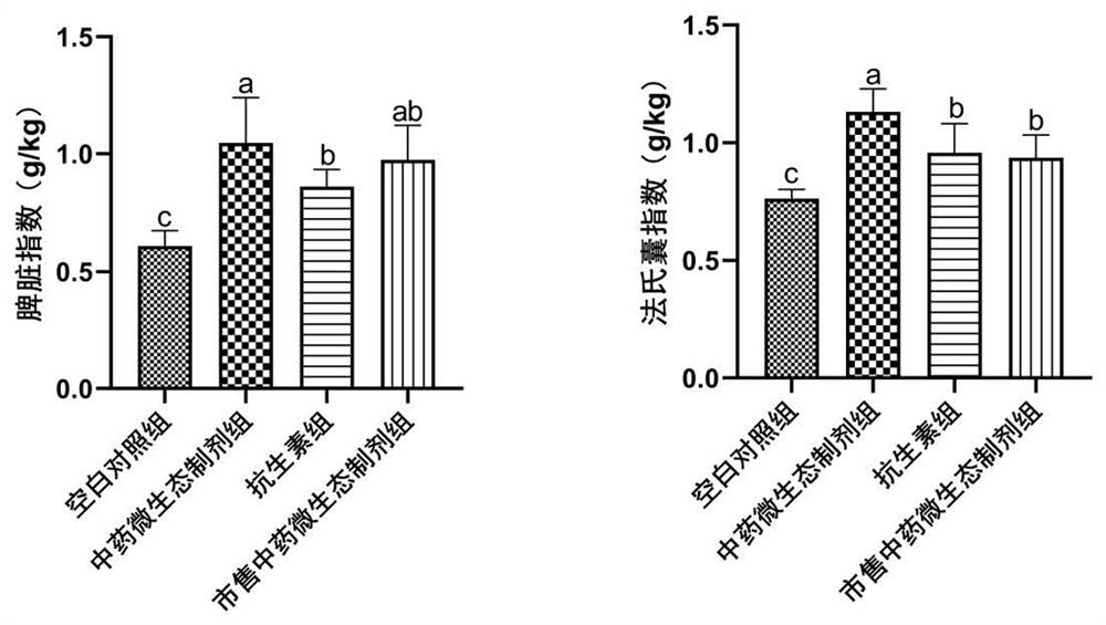 Traditional Chinese medicine microecological preparation for improving growth performance of ducks and application of traditional Chinese medicine microecological preparation