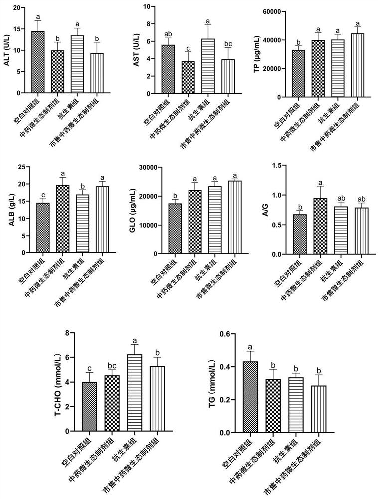 Traditional Chinese medicine microecological preparation for improving growth performance of ducks and application of traditional Chinese medicine microecological preparation