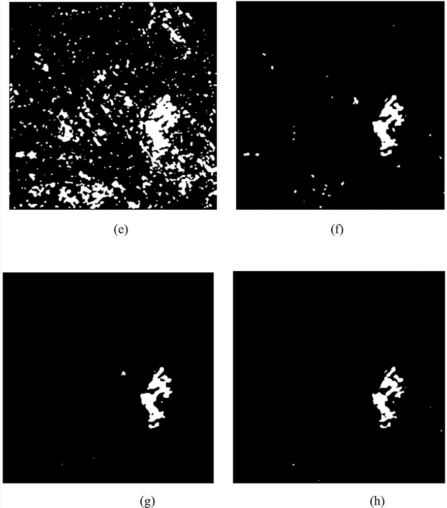 SAR image change detection method based on mean shift genetic clustering