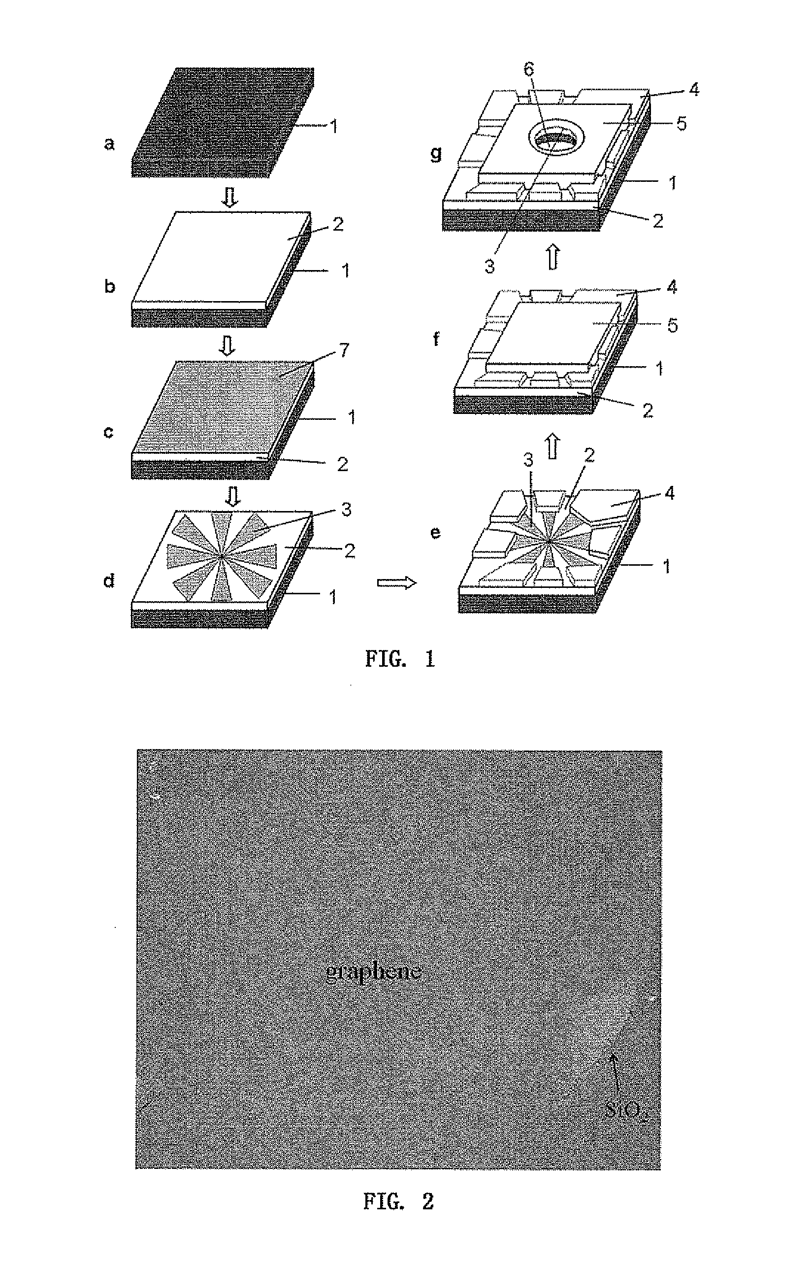 Nanopore electrical sensor