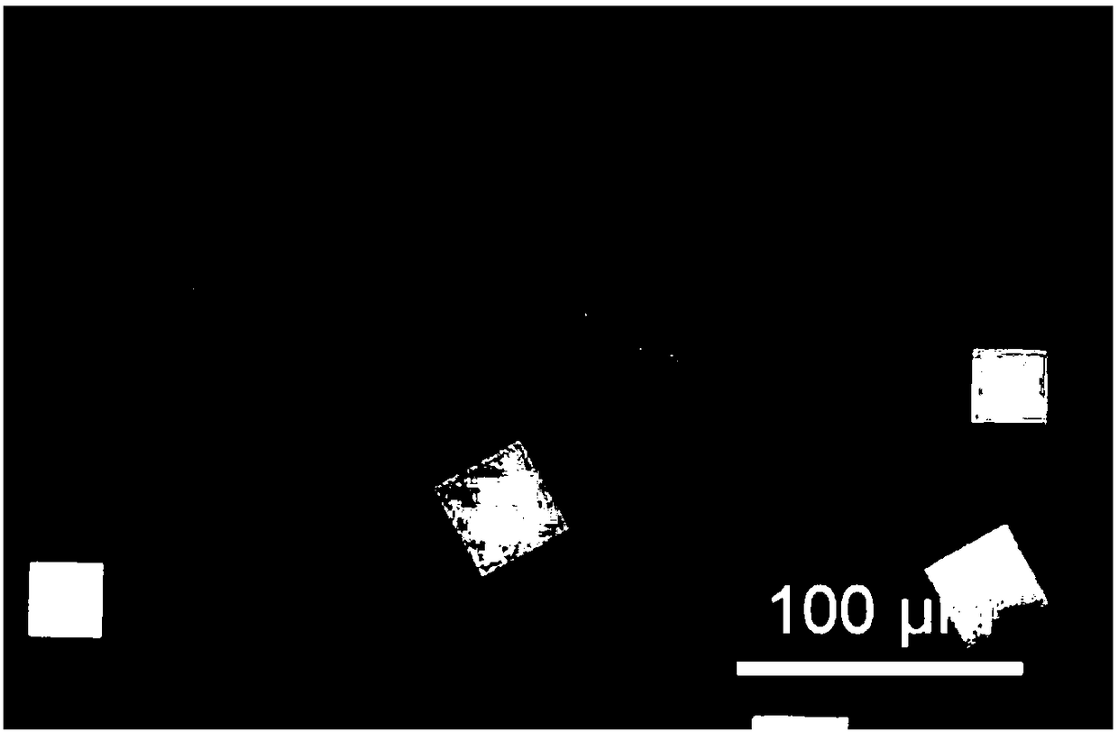 A high-mobility layered bismuth selenium oxide semiconductor thin film and its preparation method