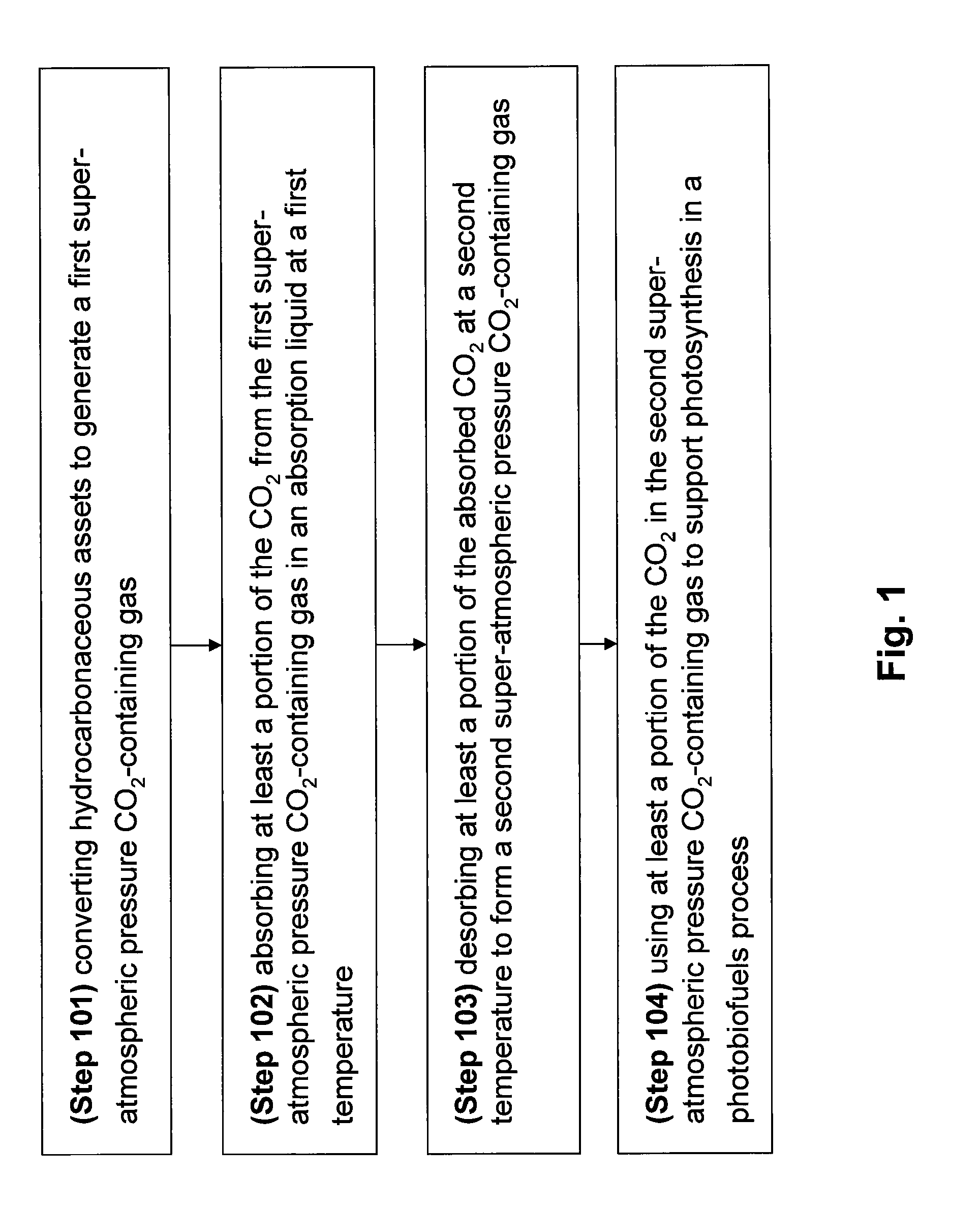 Integrated process for conversion of hydrocarbonaceous assets and photobiofuels production