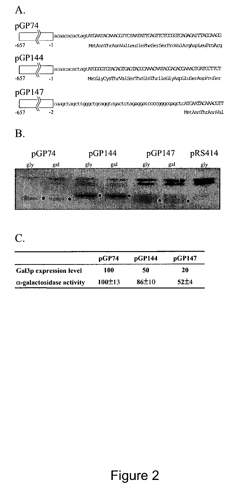 M-GAL: a Gal gene switch-based suite of methods protein analyses and protein expression in multicellular organisms and cells therefrom