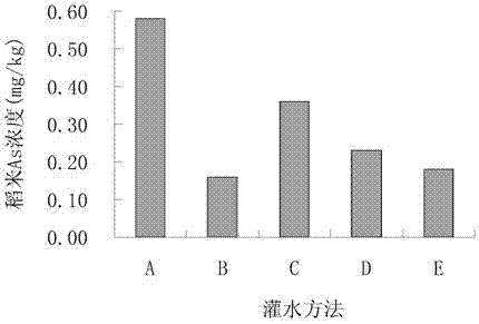 Irrigation method for reducing arsenic concentration of rice in fields with severe arsenic pollution