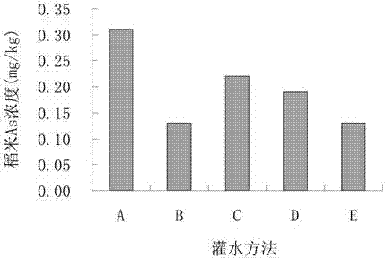 Irrigation method for reducing arsenic concentration of rice in fields with severe arsenic pollution