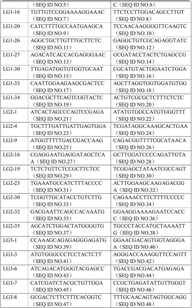 Lotus root InDel molecular marker and development method and application thereof