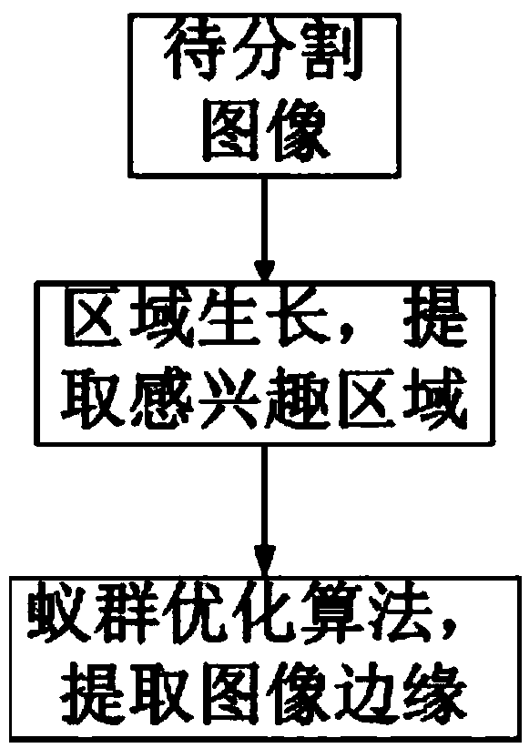 An edge detection method based on the combination of region growth and an ant colony optimization algorithm