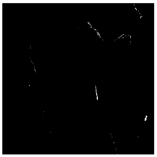 An edge detection method based on the combination of region growth and an ant colony optimization algorithm