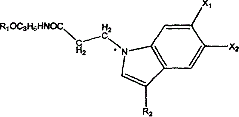 Amide derivative of indole, its preparation method and application