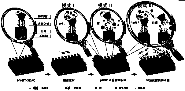 Preparation method of bacterium-sensitive intelligent antibacterial coating and application