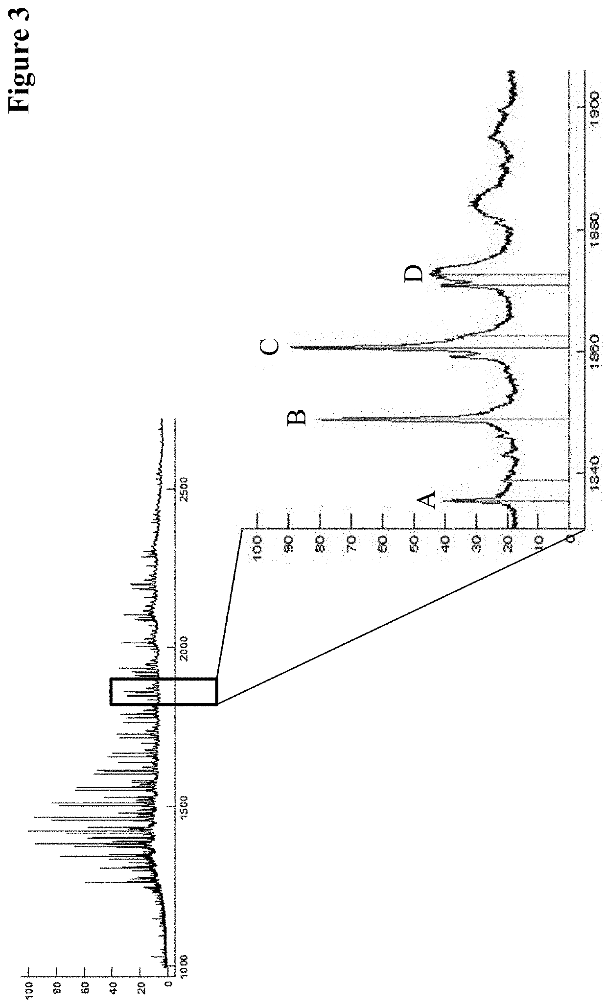 Method for detecting multispecific antibody light chain mispairing