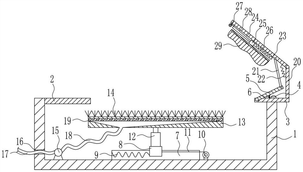 Air passenger shoe sole dedusting device