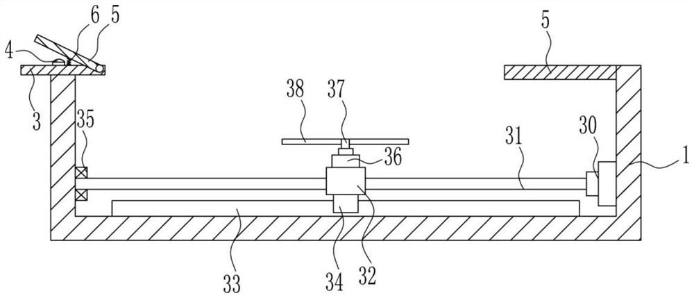 Air passenger shoe sole dedusting device