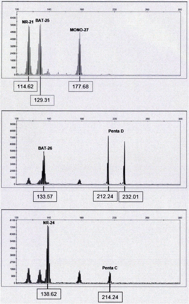 System for analyzing MSI (microsatellite instability) state during tumor immunotherapy