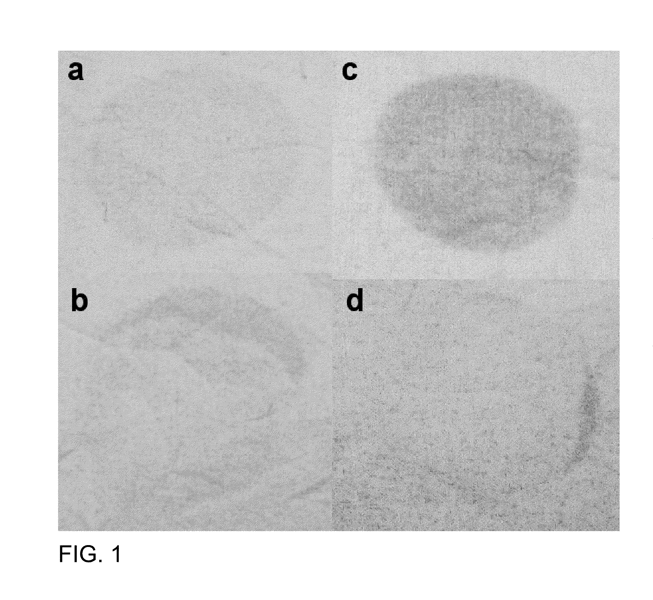 Detergent composition with hydrophilizing soil-release agent and methods for using same