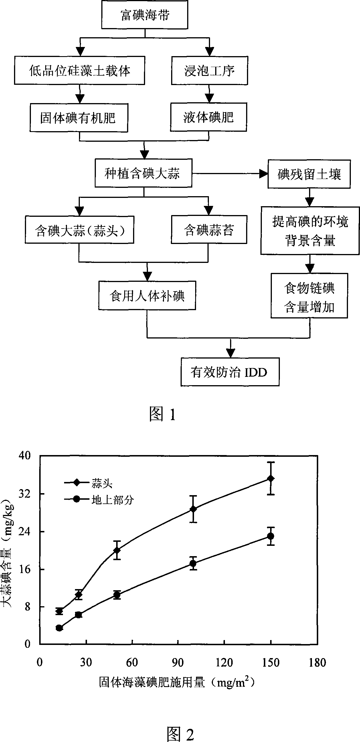 Method for planting iodine-contained garlic