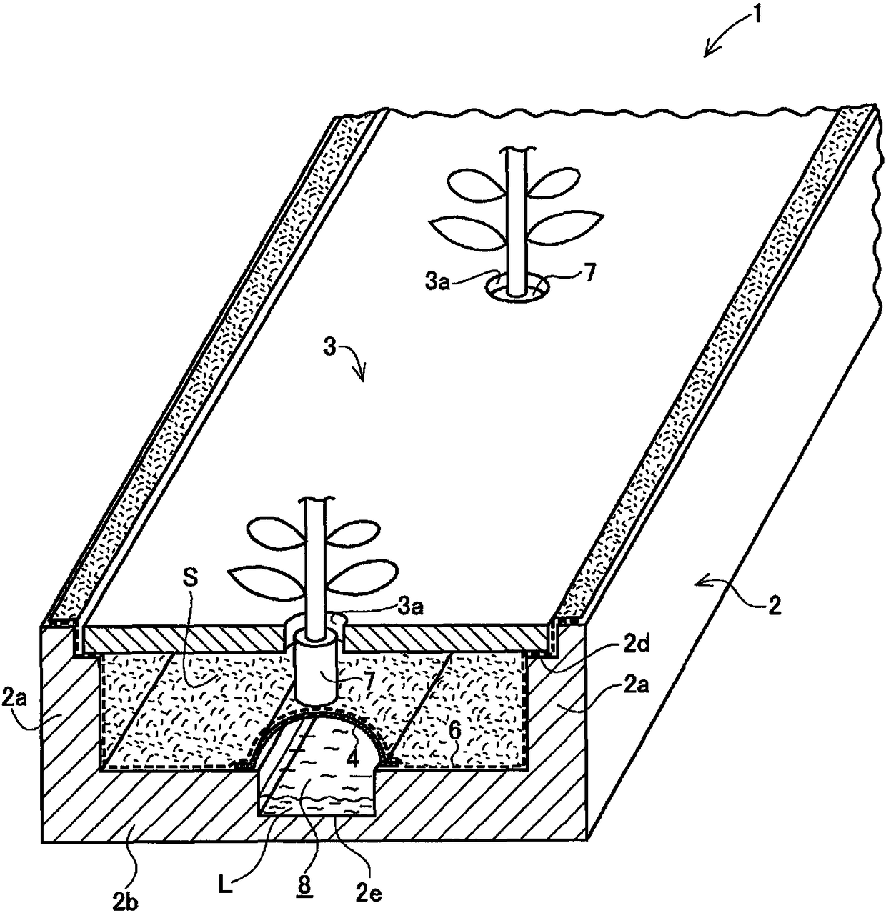 Hydroponic culture member and hydroponic culture method