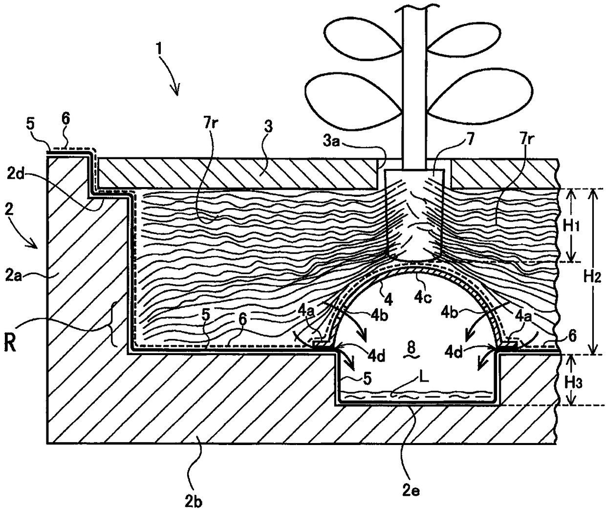 Hydroponic culture member and hydroponic culture method