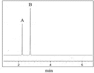 Simulation method based on random walking in limited space