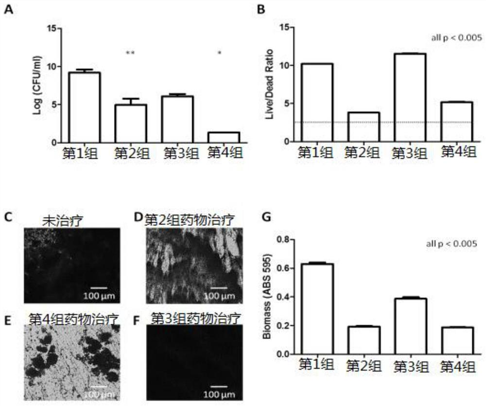 A pharmaceutical composition capable of resisting chronic infection and biofilm bacteria and its application