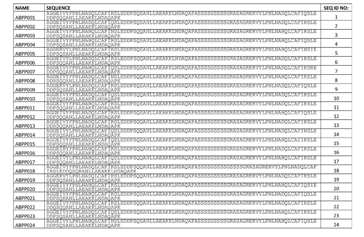 Alzheimer abeta peptide binding polypeptide