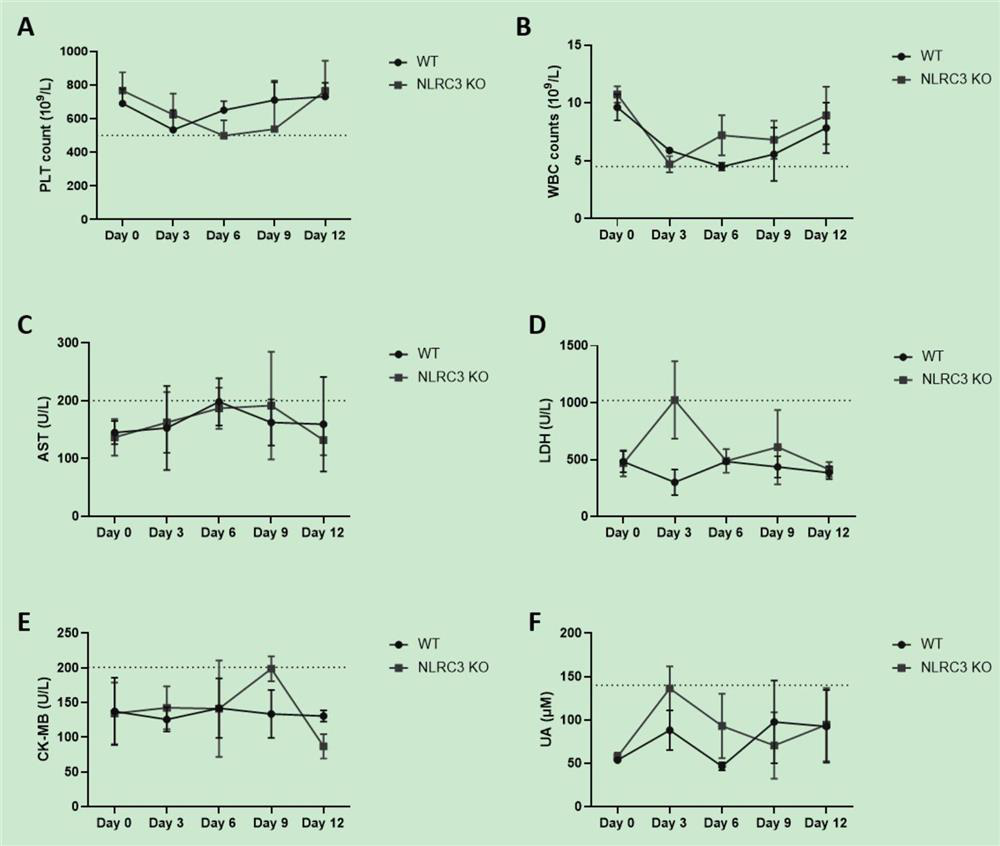 Construction methods and uses of animal models simulating the characteristics of various hfrs diseases