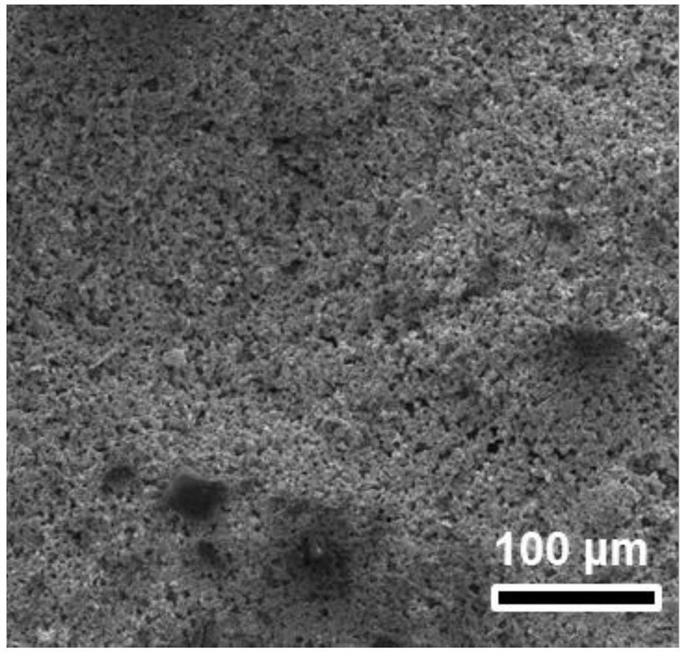 Method for preparing FeAl-based intermetallic compound flexible film through Al infiltration