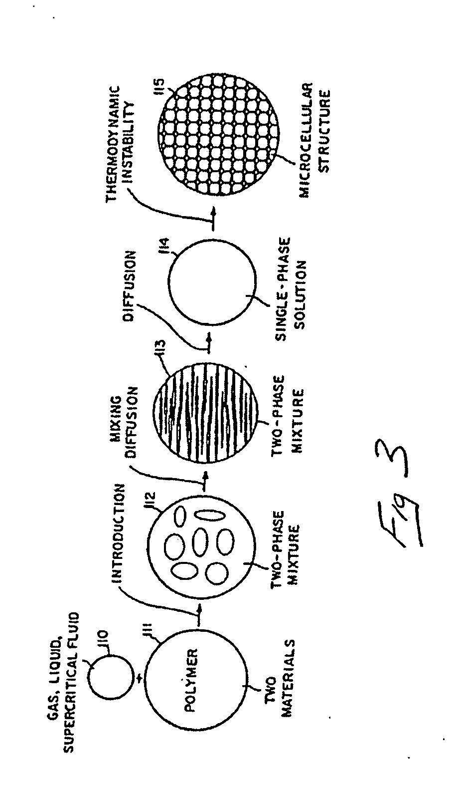 Thermoplastic vehicle weather stripping