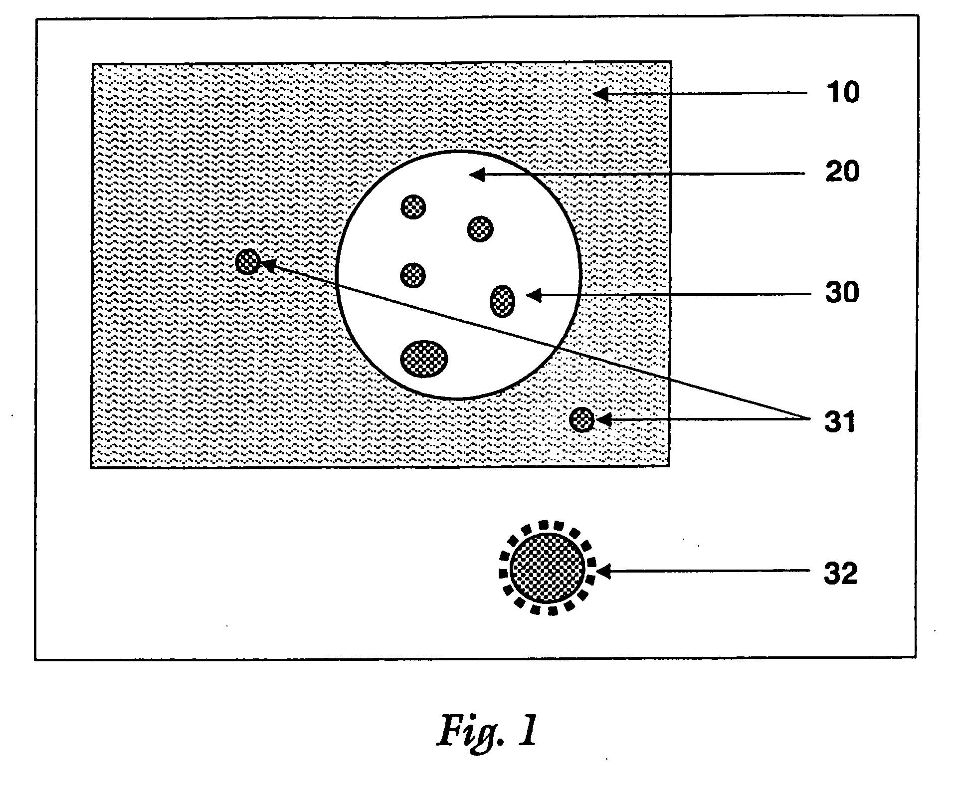 Surface modified particulate compositions of biologically active substances