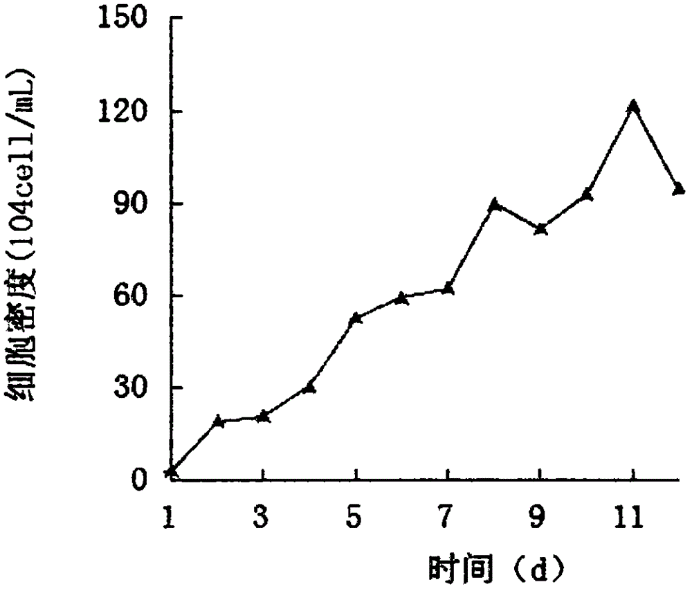 Fast culture method for dunaliella tertiolecta