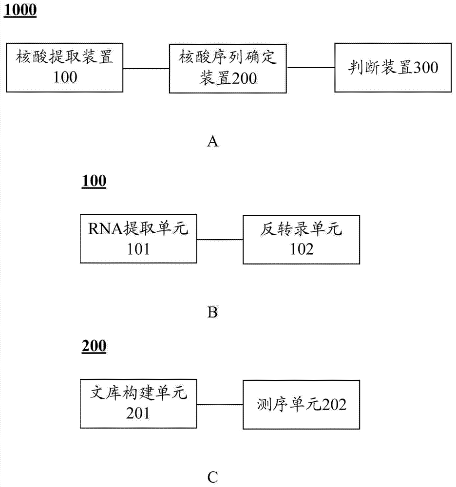 stub1 gene mutant and its application